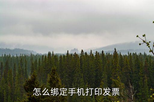 百旺電子發(fā)票如何綁定終端，尚未配備電子發(fā)票終端怎么處理