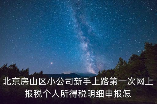 北京房山區(qū)小公司新手上路第一次網(wǎng)上報稅個人所得稅明細(xì)申報怎