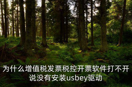 為什么增值稅發(fā)票稅控開票軟件打不開說沒有安裝usbey驅(qū)動
