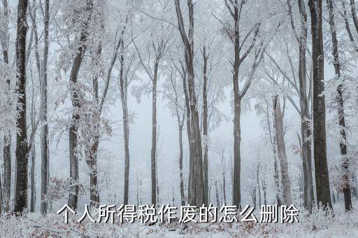 如何刪除已審核的地稅報(bào)表，已遞上的地稅網(wǎng)上財(cái)務(wù)報(bào)表系統(tǒng)的報(bào)表能否刪除
