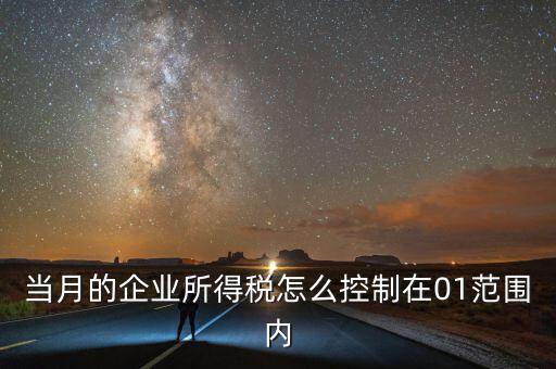 當月的企業(yè)所得稅怎么控制在01范圍內
