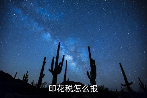 如何國(guó)稅申報(bào)印花稅，印花稅怎么報(bào)