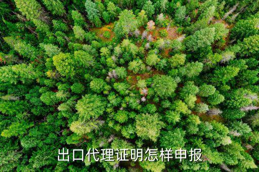 代理出口貨物證明如何報(bào)稅，出口代理證明怎樣申報(bào)