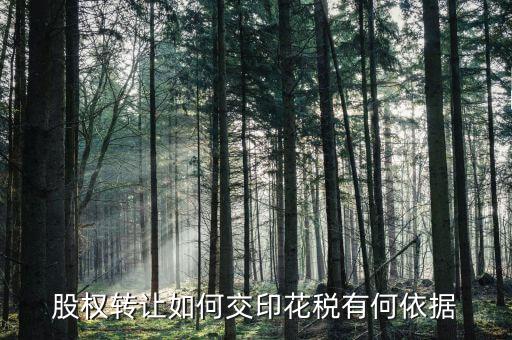資產(chǎn)轉(zhuǎn)讓如何交印花稅，股權(quán)轉(zhuǎn)讓如何交印花稅有何依據(jù)