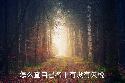 如何查欠稅記錄，怎么查個(gè)人有沒有欠稅
