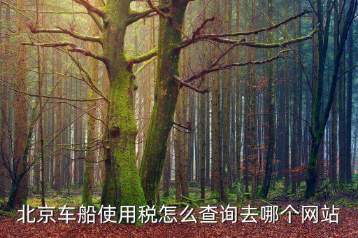 北京車船稅如何查詢系統(tǒng)，北京車船使用稅怎么查詢交沒交