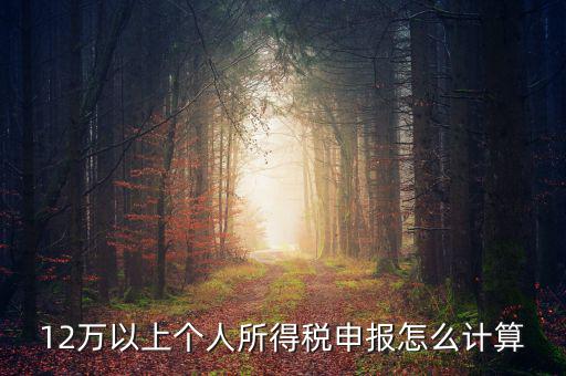 12萬個人申報如何計算，如何計算12萬元個人所得稅申報表