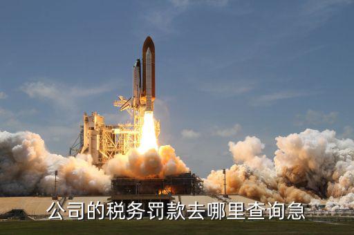 如何查稅收罰款，公司的稅務(wù)罰款去哪里查詢急