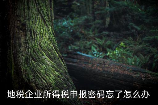 南京地稅密碼如何重置，個人所得稅忘記密碼之后如何進行重置呢