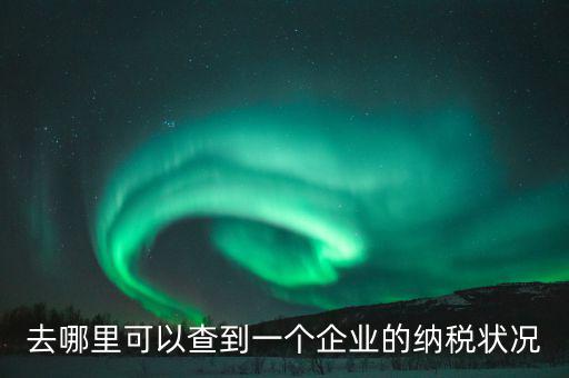 企業(yè)在哪納稅如何查，去哪里可以查到一個(gè)企業(yè)的納稅狀況