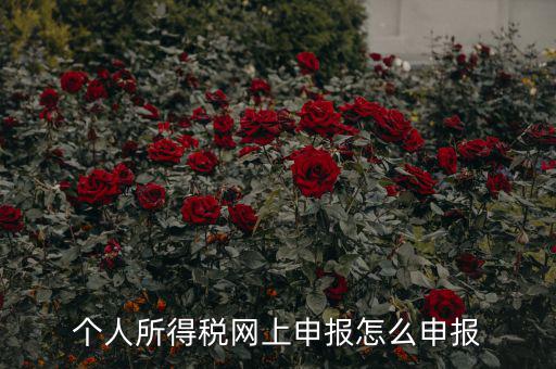 福建個(gè)人納稅如何申報(bào)，個(gè)人所得稅網(wǎng)上申報(bào)怎么申報(bào)