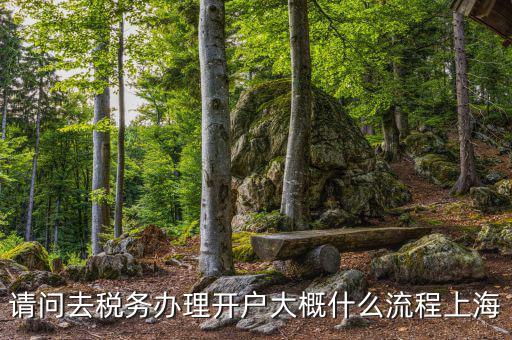如何辦理稅務(wù)開戶，請(qǐng)問去稅務(wù)辦理開戶大概什么流程上海