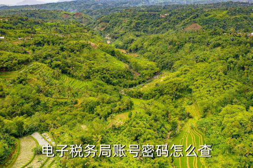 國稅賬戶如何查詢系統(tǒng)，電子稅務(wù)局賬號(hào)密碼怎么查