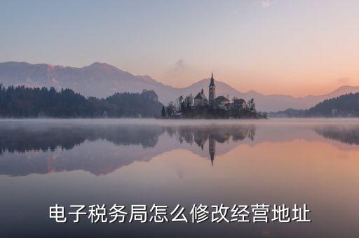 電子稅務局怎么修改經(jīng)營地址