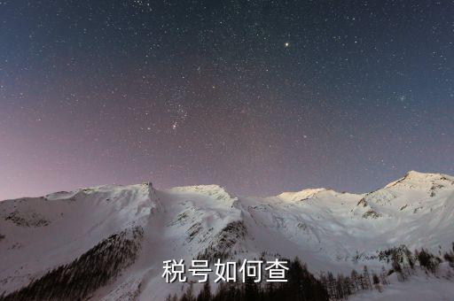 如何查詢(xún)公司稅務(wù)編號(hào)查詢(xún)，如何通過(guò)企業(yè)注冊(cè)號(hào)查詢(xún)企業(yè)稅務(wù)登記證號(hào)