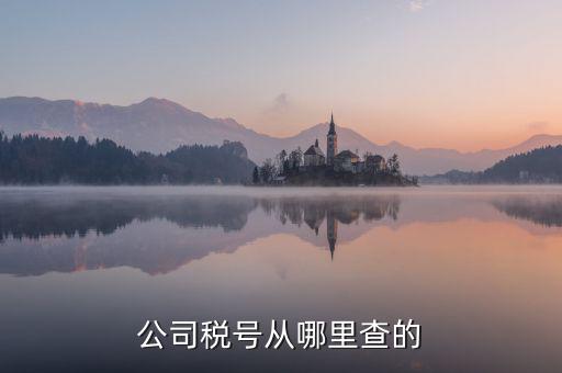 企業(yè)稅號(hào)如何查詢，公司稅號(hào)從哪里查的
