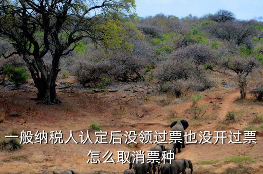 如何取消發(fā)票票種核定，一般納稅人認(rèn)定后沒(méi)領(lǐng)過(guò)票也沒(méi)開(kāi)過(guò)票怎么取消票種