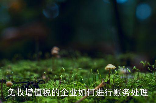 免稅的增值稅如何處理，增值稅免稅的處理