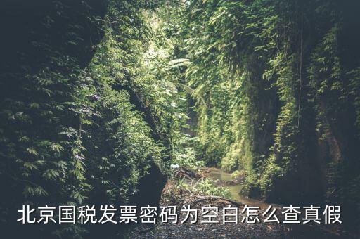 北京國(guó)稅發(fā)票真?zhèn)稳绾尾樵?，北京?guó)稅發(fā)票密碼為空白怎么查真假