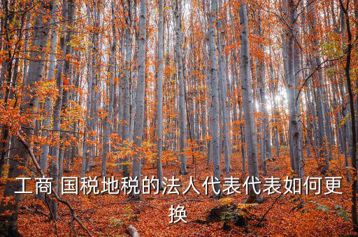 工商 國(guó)稅地稅的法人代表代表如何更換