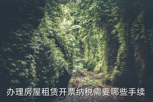 租房如何開增值稅專票，房屋租賃可以開增值稅專用發(fā)票嗎