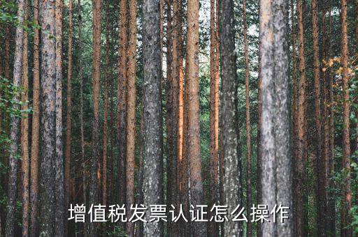 如何認(rèn)證增值稅進(jìn)項(xiàng)稅，進(jìn)項(xiàng)稅怎么認(rèn)證