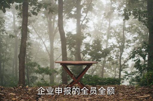 如何做好全員全額申報(bào)工作，報(bào)地稅里面的全員申報(bào)是怎么