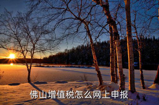 佛山地稅如何網(wǎng)上申報(bào)，佛山增值稅怎么網(wǎng)上申報(bào)