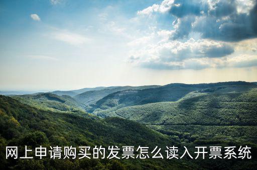 網(wǎng)購(gòu)發(fā)票如何讀入，網(wǎng)上申請(qǐng)購(gòu)買(mǎi)的發(fā)票怎么讀入開(kāi)票系統(tǒng)