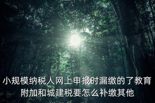 過了征期如何補交城建稅，請問城建稅忘記交怎么辦