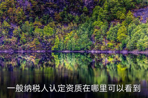 如何查看稅務資質，一般納稅人認定資質在哪里可以看到