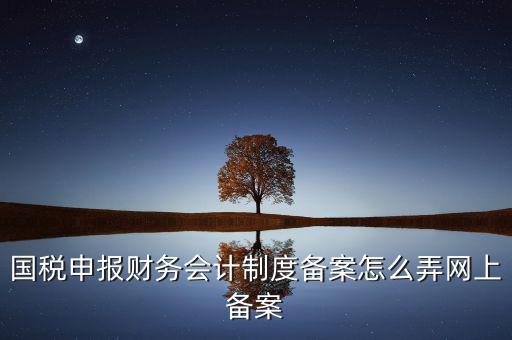 電子稅務(wù)局如何會計制度備案，2017年電子稅務(wù)局財務(wù)報表備案是不是可以馬上填寫