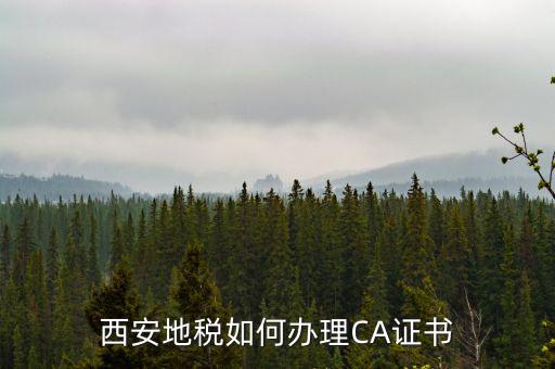 如何申請地稅ca證書，西安地稅如何辦理CA證書
