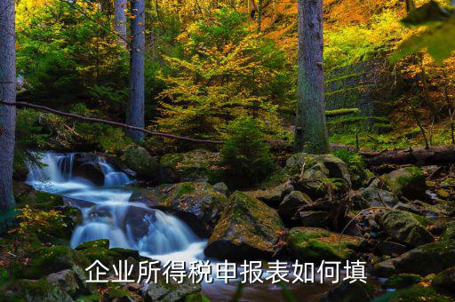 如何填寫企業(yè)所得稅申報表，如何填制企業(yè)年度所得稅申報表