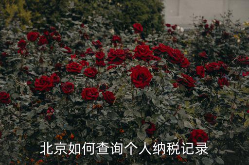 如何查詢北京國稅局納稅人狀態(tài)，如何進行北京市A級納稅人信用查詢