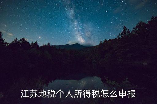 如何申報(bào)年稅江蘇，江蘇地稅個(gè)人所得稅怎么申報(bào)
