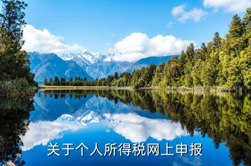 網(wǎng)上如何啟用個(gè)稅，如何打開個(gè)人所得稅申報(bào)表的明細(xì)