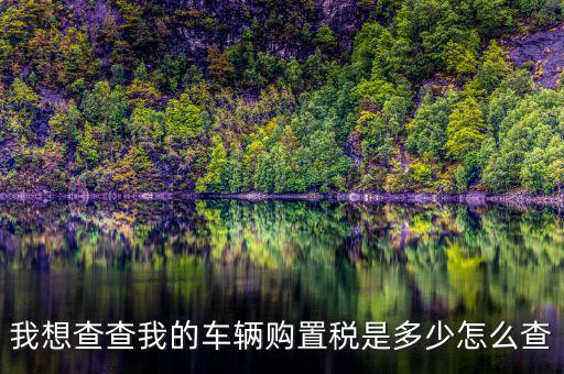 如何看購(gòu)置稅發(fā)票，我想查查我的車輛購(gòu)置稅是多少怎么查