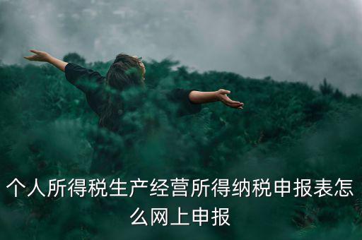 生產(chǎn)經(jīng)營(yíng)所得如何網(wǎng)上申報(bào)，個(gè)體工商戶(hù)網(wǎng)上申報(bào)怎么做