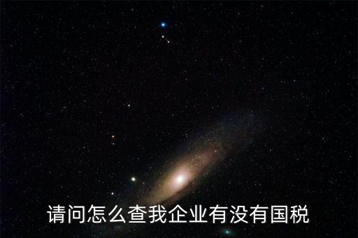 企業(yè)如何查詢國(guó)稅繳稅，怎樣查詢國(guó)稅繳稅信息