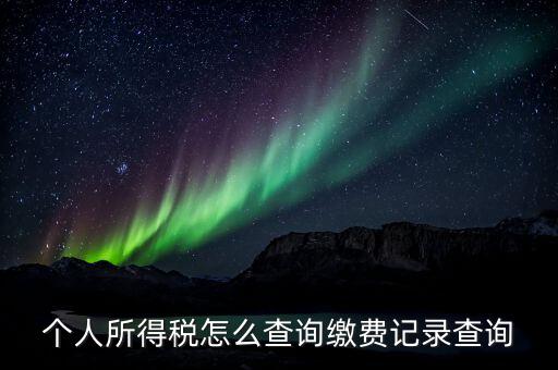 金稅三期個人所得稅如何查詢，個人所得稅怎么查詢繳費記錄查詢