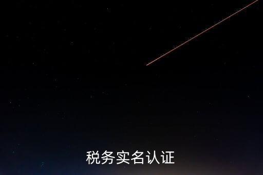 湖北省公司辦稅人員如何實名，稅務實名制信息采集