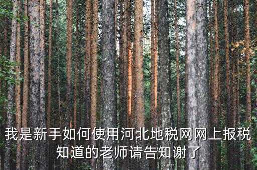 河北省地稅網(wǎng)上申報(bào)如何操作，地稅網(wǎng)上申報(bào)如何操作