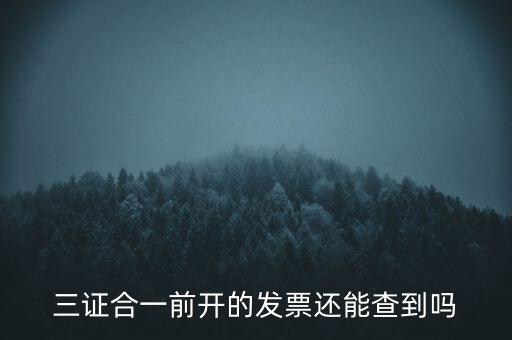 三證合一前開(kāi)的發(fā)票還能查到嗎