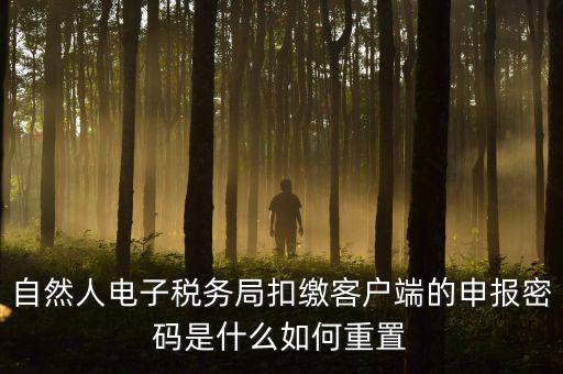 自然人納稅申報(bào)密碼如何找回，電子稅務(wù)局密碼忘記了怎么找回