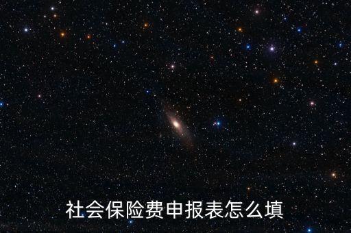 稅務(wù)系統(tǒng)社保費(fèi)申報(bào)表如何填報(bào)，社會(huì)保險(xiǎn)費(fèi)申報(bào)表怎么填