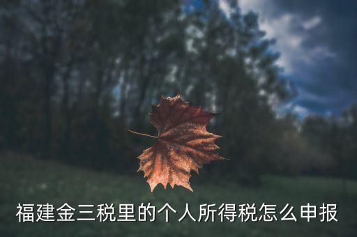 福建企業(yè)個稅如何申報系統(tǒng)，福建省2019年企業(yè)所得稅年報 在哪里報