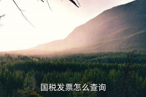 河北省的發(fā)票如何查詢，我的發(fā)票在河北地稅網(wǎng)上可以查到信息都沒有問題但是河北地稅
