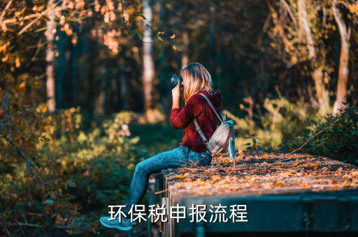 噪聲如何填寫環(huán)保稅，環(huán)保稅如何申報