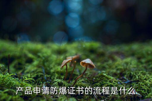 如何辦理防爆用地，產(chǎn)品辦理防爆認(rèn)證流程有哪些